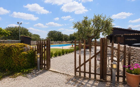 La Muraglia: Land Lot, Schaduw, Tuin, Landscaping, Landgoed, Oprit, Werf, Hek, Home Schermen, Backyard