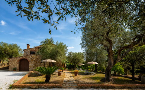 Casale delle Lupe, Campiglia Marittima: Tuin, Landgoed, Hacienda, Landscaping, Boerderij, Werf, Villa, Schaduw, Backyard, Oprit