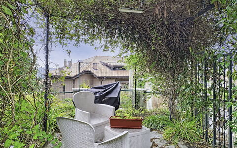 Colazza 100: Blad, Vegetation, Struik, De Lente, Takje, Tuin, Schaduw, Backyard, Werf, Hek