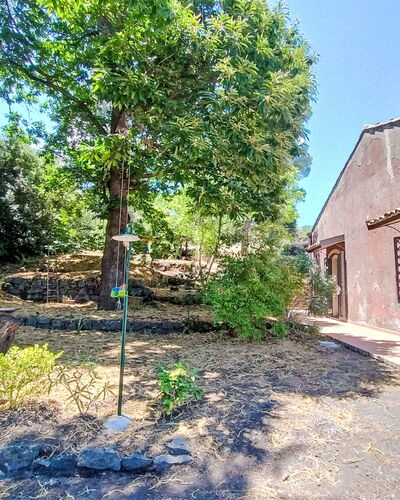 Il Giardino di Lara: Boom, Blad, Afdeling, Vegetation, Struik, Schaduw, Tuin, Woody Plant, Landscaping