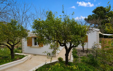La Dimora di Diana: Struik, Tuin, Verblijf, Schaduw, Backyard, Werf, Landscaping, Hacienda, Boerderij