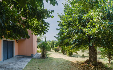Gli Oleandri di Grazia: Blad, Afdeling, Struik, Tuin, Zonlicht, Schaduw, Gazon, Landscaping, Oprit, Werf