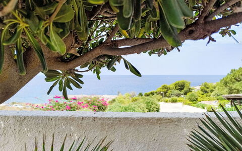 Cala Isulidda: Zee, Oceaan, Kust, Tropen, Strand, Caribbean