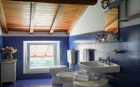 Casa Mancini, Holiday Villa, San Galgano: Loodgieterswerkinrichting, Badkamer, Wastafel, Wastafel In De Badkamer, Interieur Ontwerp, Flooring, Kraan, Loodgieter, Wc Bril, Toilet