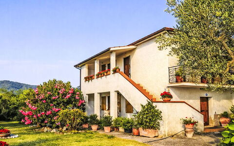 Il Mulinetto: Bloem, Huis, Struik, Tuin, Huis, Roze, Verblijf, Boerderij, Landgoed