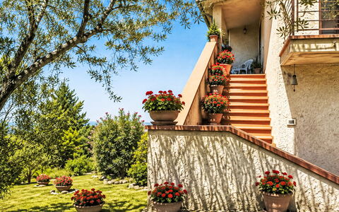 Il Mulinetto: Struik, Tuin, Bloempot, Landscaping, Kamerplant, Trap, Werf, Ontwerp, Balkon
