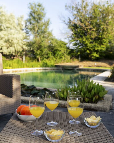 Villa Ninfeo 10+4: Zwembad, Buitenmeubels, Meubilair, Tuin, Stoel, Ligstoel, Buitentafel, Toevlucht, Landscaping, Schaduw