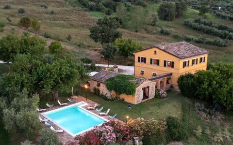 Casale Verdicchio 10+2