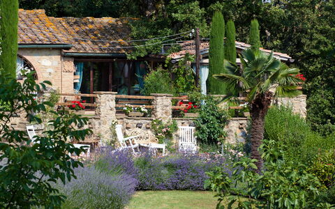 Borgo Paradiso 4+2: Struik, Tuin, Backyard, De Lente, Groundcover, Landscaping, Verblijf, Werf, Bloempot