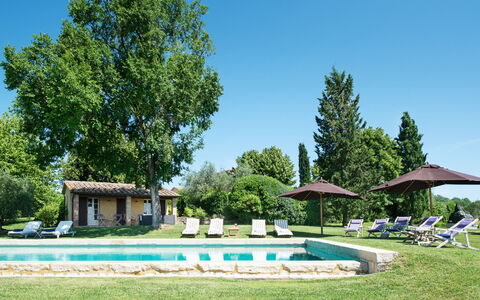 Podere Gragnano 12: Boom, Gras, Struik, Land Lot, Gazon, Tuin, Huis, Landgoed, Verblijf