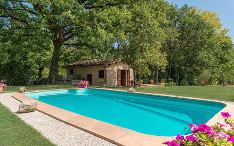 Mulino della Quercia 2+1: Zwembad, Tuin, Backyard, Schaduw, Landscaping, Hacienda, Boerderij, Werf, Eco Hotel, Toevlucht