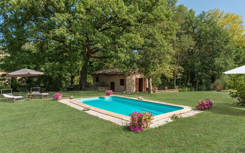 Mulino della Quercia 2+1: Zwembad, Tuin, Backyard, Gazon, Boerderij, Landgoed, Werf, Schaduw, Hacienda, Landscaping