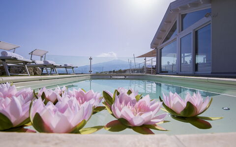 Villa Aura 6: Toevlucht, Zwembad, Eco Hotel, Hotel, Villa, Badplaats, Paraplu, Buitenmeubels, Balkon