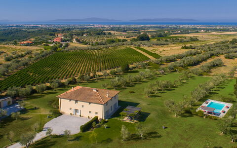 Villa Il Meluccio 12: Gras, Plain, Landschap, Grasland, Landelijk Gebied, Land Lot, Veld, Plantage, Landgoed, Weide