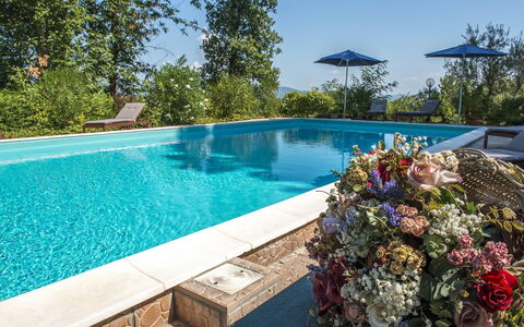 Villa Ombrosa 8: Blauw, Zwembad, Toevlucht, Eco Hotel, Vrije Tijd, Buitenmeubels, Tuin, Landscaping, Schaduw, Stoel