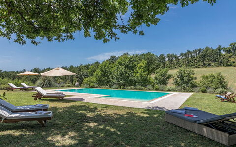 Casale Piattini 10: Tuin, Weide, Landscaping, Zwembad, Gazon, Landgoed, Plantage, Park, Buitenmeubels, Boerderij