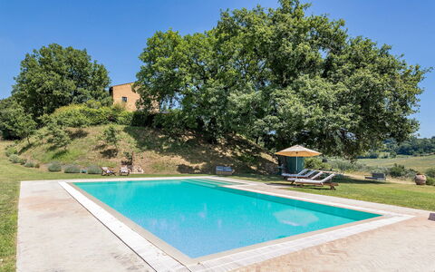 Casale Piattini 10: Zwembad, Tuin, Landgoed, Boerderij, Landscaping, Gazon, Hacienda, Backyard, Schaduw, Werf