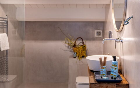 Villa Terre Normanne 10: Loodgieterswerkinrichting, Badkamer, Flooring, Interieur Ontwerp, Muur, Verdieping, Kraan, Wastafel, Loodgieter, Verlichting