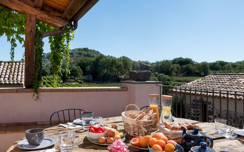 Villa Terre Normanne 10: Meubilair, Stoel, Buitenmeubels, Bloempot, Keuken En Eettafel, Kamerplant, Buitentafel, Balkon, Villa, Binnenplaats