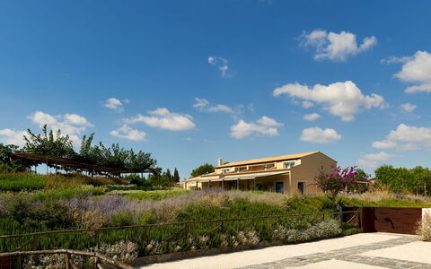 Villa Majoli 9: Struik, Landschap, Land Lot, Plantengemeenschap, Landelijk Gebied, Landgoed, Boerderij, Landscaping, Shrubland