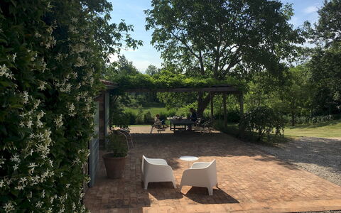 Villa Carmeli 12+2: Blad, Struik, Tuin, Schaduw, De Lente, Landscaping, Backyard, Werf, Gang