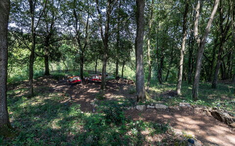 Villa Rinaldi 6: Blad, Boom, Natuurlijke Omgeving, Hout, Afdeling, Vegetation, Woud, Bosje, Bos, Plantengemeenschap