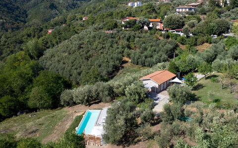 Villa Cristina 3: Boom, Landschap, Huis, Landelijk Gebied, Heuvel Station, Verblijf, Landgoed, Helling, Dorp, Eco Hotel