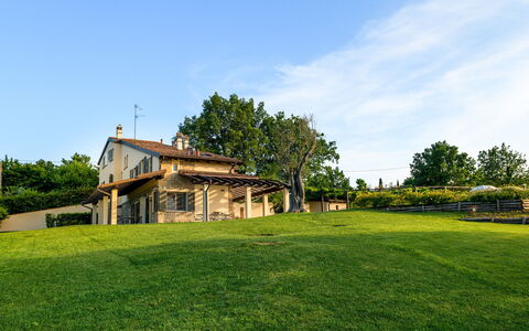 Villa Pergola 8: Gras, Landschap, Land Lot, Landelijk Gebied, Plain, Huis, Gazon, Boerderij, Verblijf, Landgoed