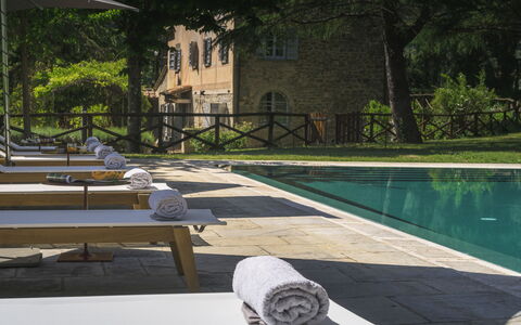 Villa Metelliano 10: Zwembad, Buitenmeubels, Meubilair, Samengesteld Materiaal, Toevlucht, Ligstoel, Stoel, Landgoed, Flagstone, Eco Hotel