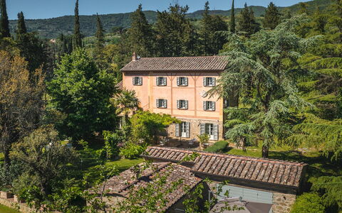 Villa Metelliano 10: Boom, Gebouw, Venster, Huis, Struik, Huis, Dak, Landelijk Gebied, Landgoed, Verblijf