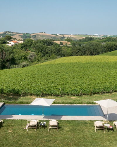 La Casa nei Vigneti 10: Zwembad, Ligstoel, Toevlucht, Buitenmeubels, Paraplu, Landgoed, Vrije Tijd, Eco Hotel, Villa, Landscaping