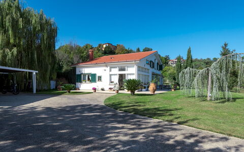 Villa Bubi 8+1: Boom, Huis, Huis, Struik, Woongebied, Verblijf, Landgoed, Schaduw, Oprit, Gazon