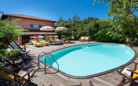 Villa Corallina 12: Zwembad, Buitenmeubels, Toevlucht, Eco Hotel, Stoel, Vrije Tijd, Paraplu, Hacienda, Villa, Schaduw