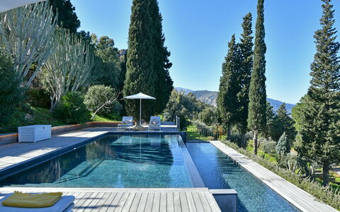 Villa Armonia 8: Blauw, Zwembad, Evergreen, Landscaping, Waterpartij, Lariks, Pine Family