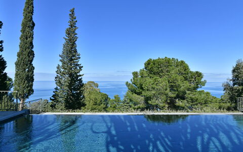 Villa Armonia 8: Blauw, Zwembad, Evergreen, Tropen, Lariks, Pine Family