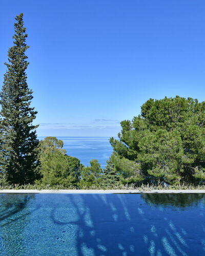 Villa Armonia 8: Blauw, Zwembad, Evergreen, Tropen, Lariks, Pine Family