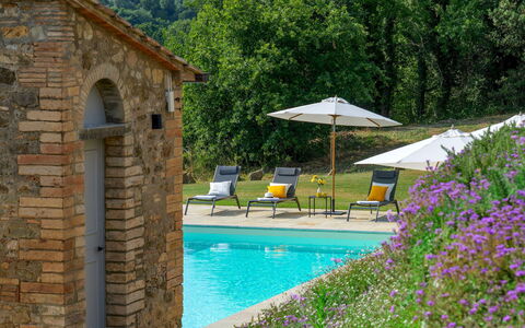 Villa Il Pozzo 14: Struik, Zwembad, Landgoed, Tuin, Verblijf, Hacienda, Boerderij, Landscaping, Buitenmeubels, Villa