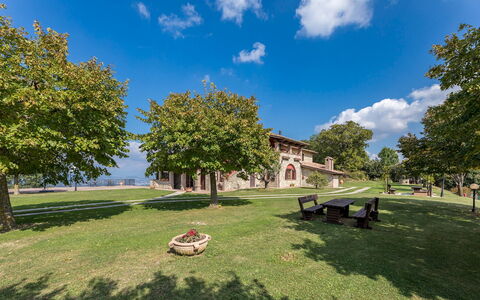 Tenuta Montiepoli 12+3: Gras, Landschap, Openbare Ruimte, Plain, Landgoed, Gazon, Schaduw, Hacienda, Tuin, Park