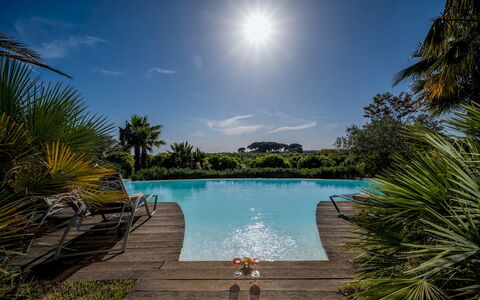 Villa Pineta 6: Blauw, Zwembad, Toevlucht, Eco Hotel, Tropen, Tuin, Landscaping, Badplaats