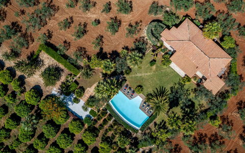 Villa Pineta 6: Boom, Zwembad, Landschap, Toevlucht, Landgoed, Eco Hotel, Tuin, Landscaping, Hacienda