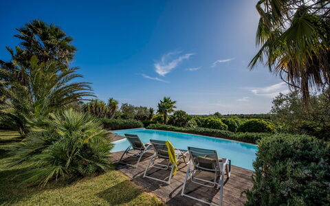 Villa Pineta 6: Blauw, Groen, Boom, Zwembad, Vegetation, Toevlucht, Struik, Eco Hotel, Tuin