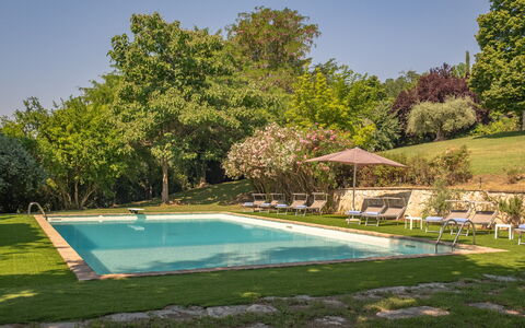 Dolce Collina 10: Boom, Zwembad, Zomer, Struik, Tuin, Vrije Tijd, Schaduw, Landgoed, Gazon, Landscaping