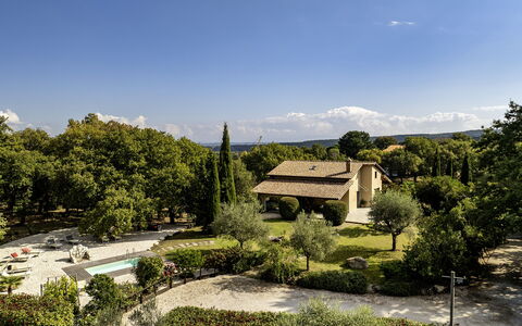 Villa Sparta 8+2: Boom, Blad, Vegetation, Struik, Huis, Landschap, Huis, Land Lot, Tuin