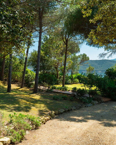 Villa Il Faro 10: Blad, Boom, Natuur, Groen, Afdeling, Vegetation, Struik, Plantengemeenschap, Tuin, Trunk