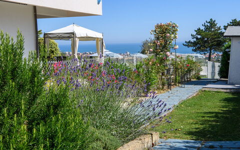 Villa Alma 8+2: Bloem, Struik, Tuin, Landscaping, Schaduw, Werf, Botanische Tuin, Gang