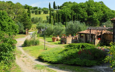 Poggio Velluto