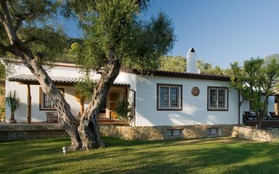 Villa Oliveta - Pietrasanta, Toscane, Italië