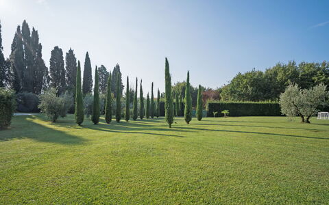 Villa Fontine: Boom, Groen, Gras, Natuurlijk Landschap, Land Lot, Sportplaats, Grasland, Lucht, Biome, Tuin