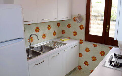 Accommodatie:&nbsp;Valeria 250.1