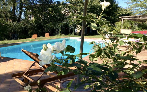 La Cenerara: Eigendom, Bloem, Fabriek, Onroerend Goed, Plantkunde, Huis, Zwembad, Boom, Huis, Villa